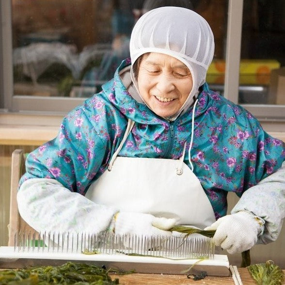 北三陸産剣山手引き茎わかめ （湯通し塩蔵） – 北三陸ファクトリー